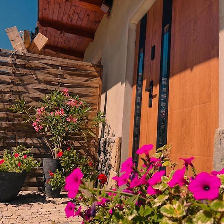 Apartamenty U Chlipaly Krosnica  Exterior photo